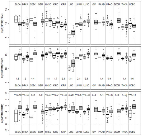 Boxplots of mRNA expression of PKM1, PKM2, and PKM2/PKM1 ratios in normal tissues and human cancers.