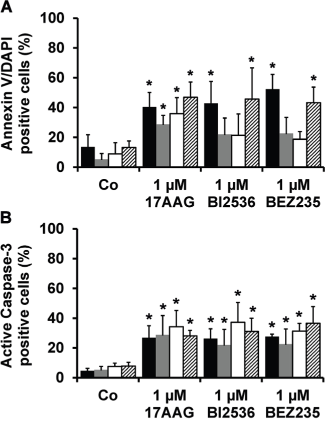 Effects of 17AAG, BI2536, and BEZ235 on survival of primary MM cells.