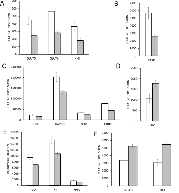 Gene expression of glycolysis enzymes in mutant TP53 cohort (mutTP53, n=215) and in wild type TP53 cohort (wtTP53, n=547) breast cancer samples.