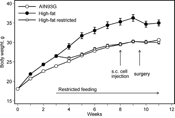 Restricted feeding reduces body weight in mice fed a high-fat diet.