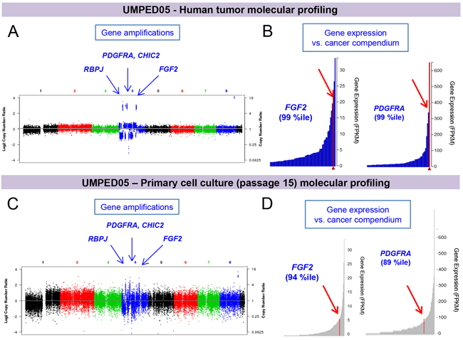 Integrative clinical sequencing results of paired tumor and primary cell culture from UMPED05.