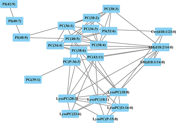 Correlation network of differential lipids between patients with and without EOC recurrence related metabolites (Pearson correlation analysis, |r| &#x003E; 0.6) are connected with a line.