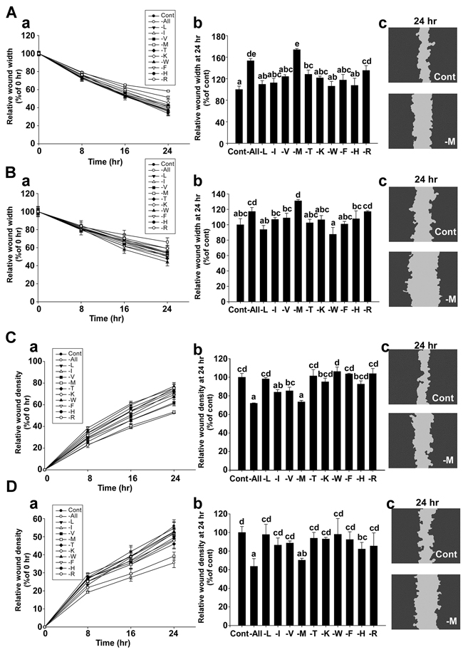 Effect of methionine deprivation on cell migration in MDA-MB-231 and Hs 578T cells.