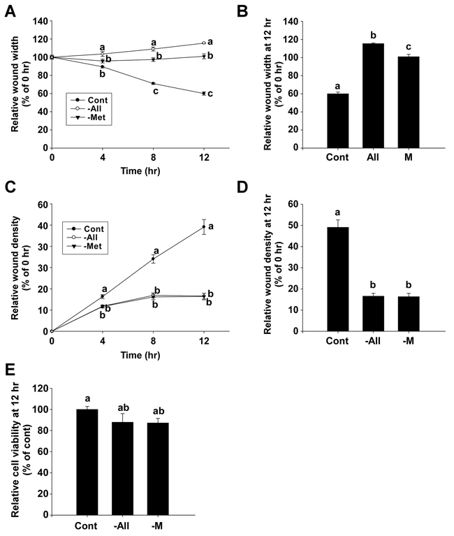The inhibitory effect of methionine deprivation on migration and invasion of 4T1 cells.