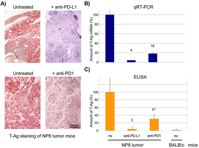 Responses of NP8 tumor mice to PD-L1 or PD1 antibody medication after 7 days.