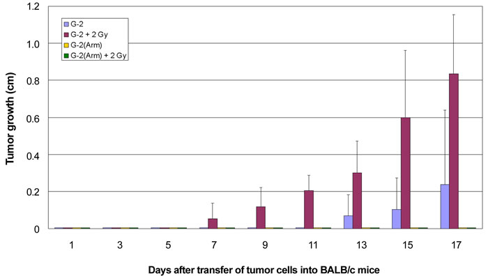 Growth kinetics of G-2 cell and G-2(Arm) cell induced tumors in BALB/c mice with or without &#x3b3;-irradiation.