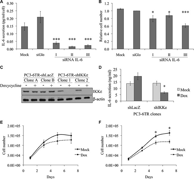 Effect of IKK&#x03B5; expression on IL-6 secretion and proliferation of prostate cancer cell lines.