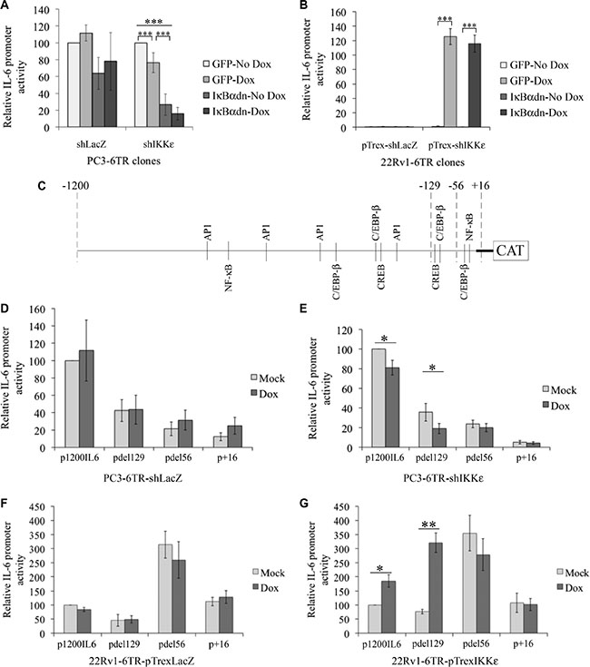 Characterization of IKK&#x03B5;-dependent regulation of IL-6 promoter activity in prostate cancer cell lines.