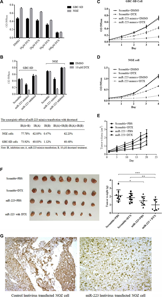 GBC-SD and NOZ cells were resistant to docetaxel and sensitized by ectopic expression of miR-223.