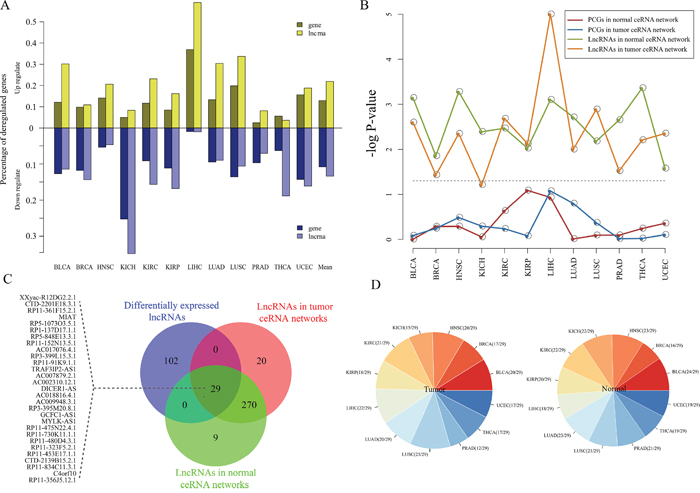Expression analysis of pan-cancer ceRNA networks.