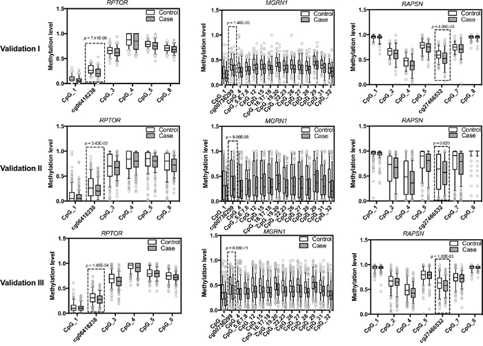 Methylation levels of RPTOR (cg06418238), MGRN1 (cg00736299), RAPSN (cg27466532) and adjacent CpG sites in study population.