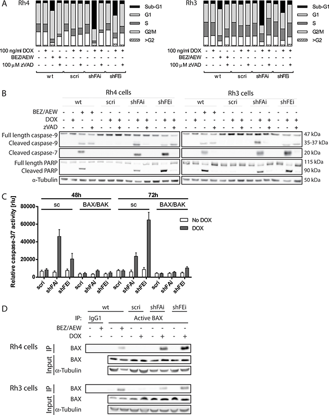 Cell death induction upon furin silencing is caspase dependent and involves mitochondria.