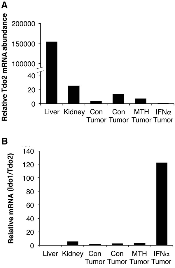 Mouse IDO1 expression levels are much higher than TDO2 in kidney and RENCA tumors.