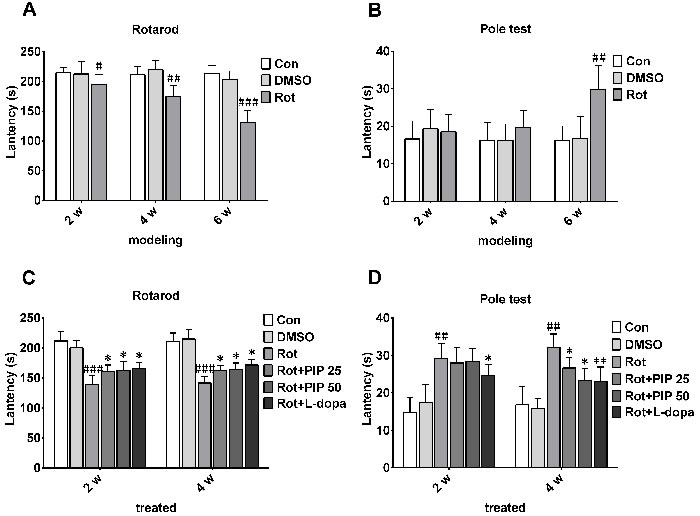 PIP reverses motor deficits induced by rotenone.