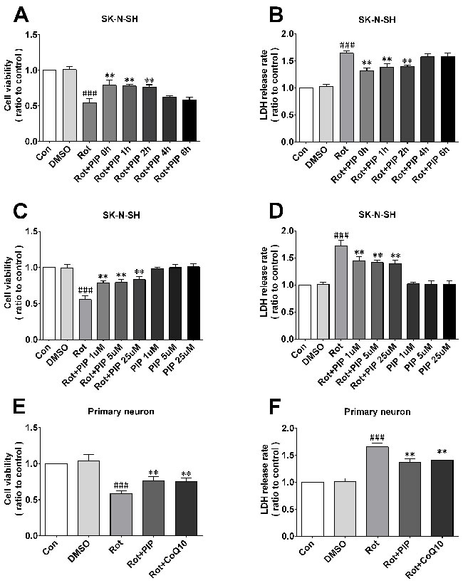 PIP enhances cell viability and reduces cytotoxicity induced by rotenone.