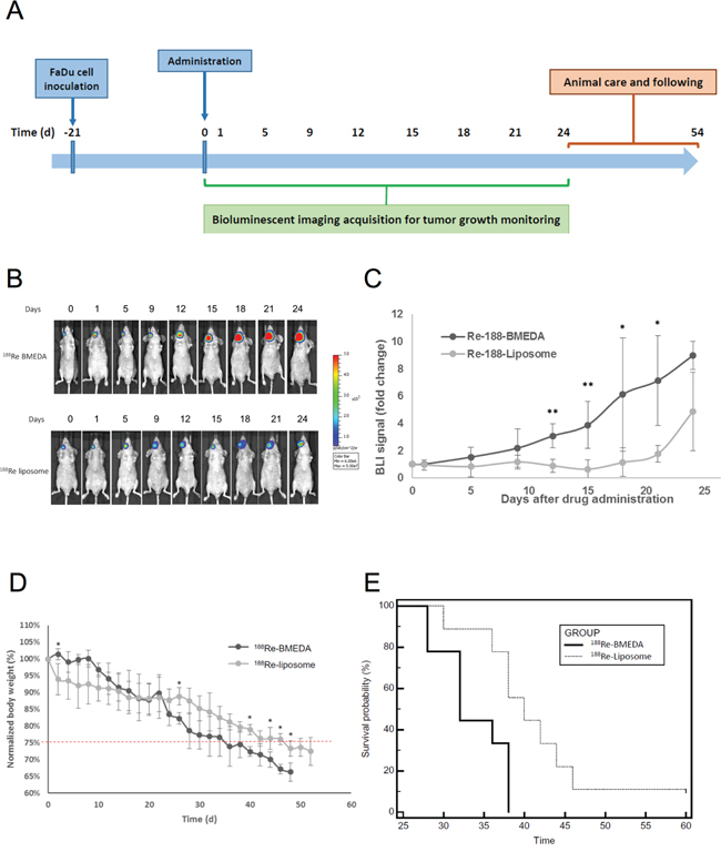 Evaluation of therapeutic efficacy of PEGylated 188Re-liposome on HNSCC xenograft tumor model.