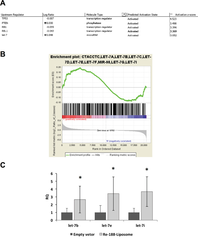 MicroRNA microarray analysis after the HNSCC tumor bearing mouse was treated with PEGylated 188Re-liposome.