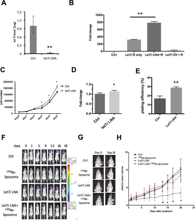 Knockdown of let-7i by LNA&trade; compromises the effects of 188Re-liposome on suppressing the growth of human HNSCC tumors in vivo.