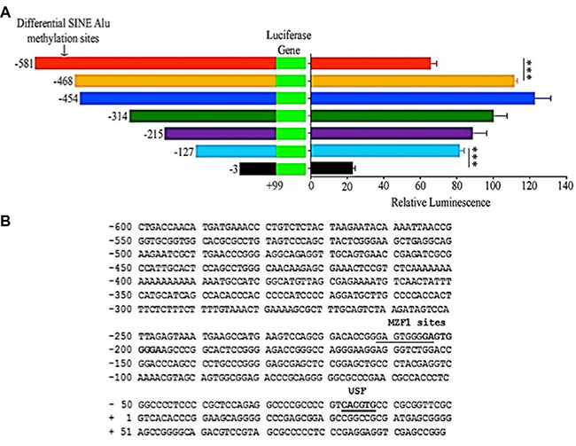 MIEN1 putative promoter activity as determined by luciferase assay and the potential transcription factor binding sites in the region.