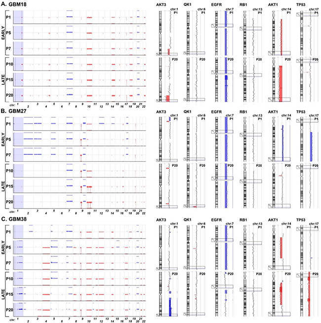 Graphical representation of chromosomal imbalances detected in GBM18, GBM27 and GBM38 CSC-enriched cultures along the 20 first passages in culture after isolation from surgical samples.