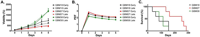 Viability of early and late passages of CSC-enriched cultures and average survival of mouse models of their respective brain tumor xenotransplants.