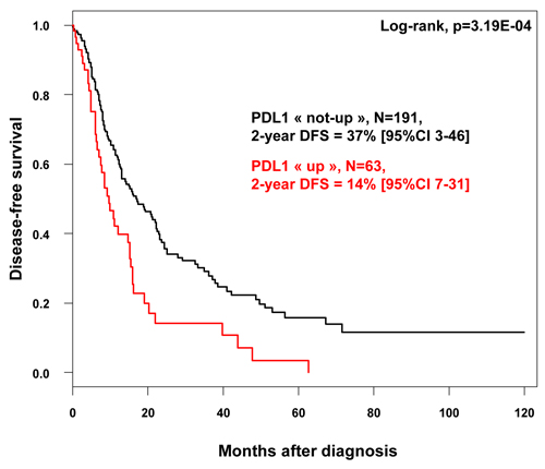 Disease-free survival according to PDL1 mRNA expression in patients with pancreatic cancer.