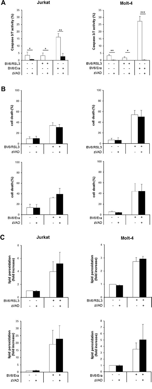 RSL3/BV6- or Erastin/BV6- cotreatment triggers caspase-independent lipid peroxidation-induced cell death.