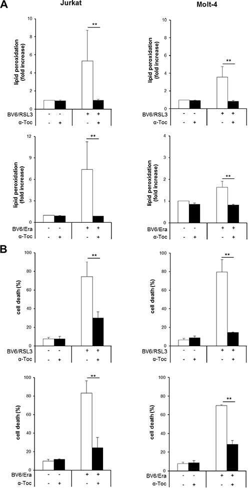 &#x03B1;-Toc inhibits RSL3/BV6- or Erastin/BV6-induced lipid peroxidation and cell death.