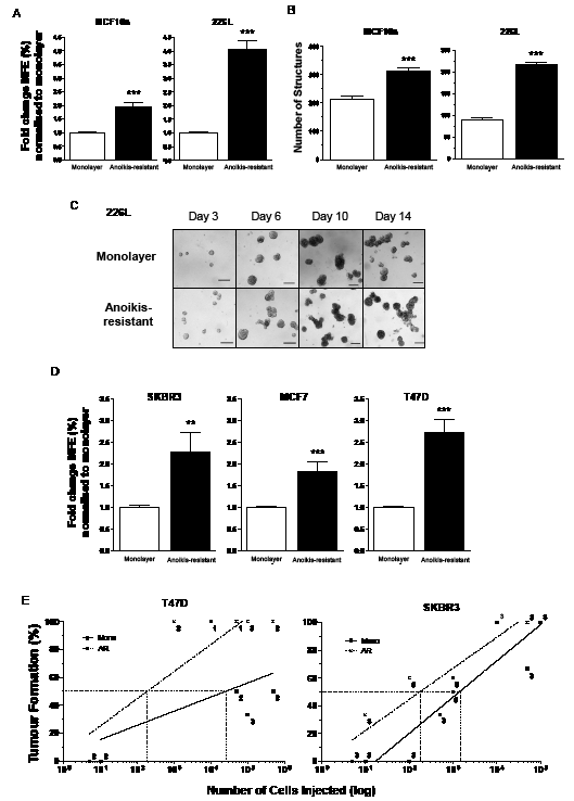 Normal and malignant stem cells are anoikis-resistant.