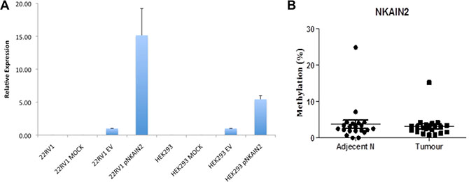 NKAIN2 promoter activity and DNA methylation analysis.