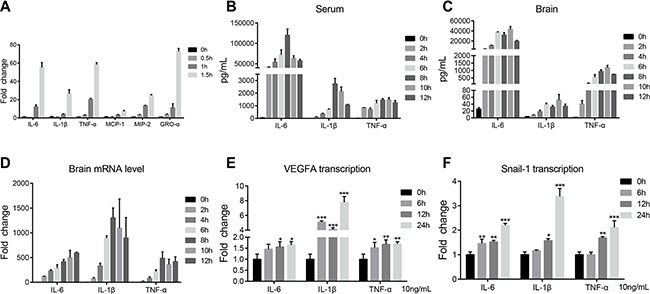 PCN033-induced production of cytokines and chemokines conduced to upregulation of VEGFA and Snail-1.