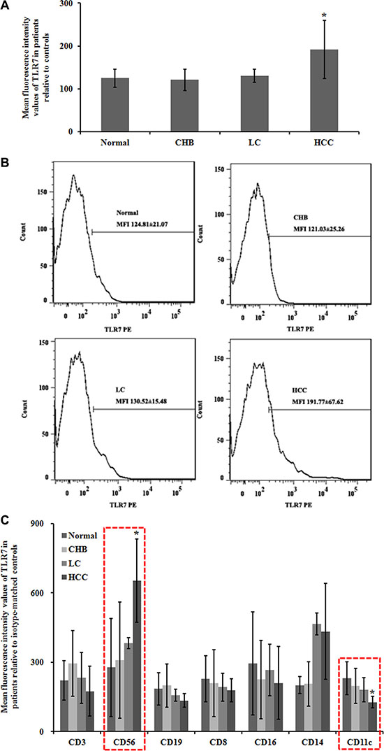 Flow cytometry analysis of TLR7 expression in peripheral blood.