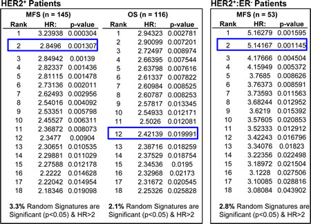 Comparing the prognostic power of HTICS with 1000 random sets of signatures in HER2+ breast cancer patients.