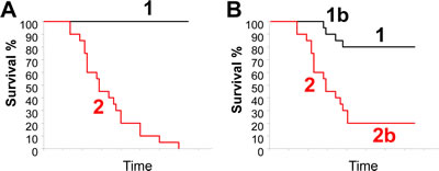 Ideal and typical Kaplan-Meier survival curves of patients segregated on the basis of a prognostic signature.