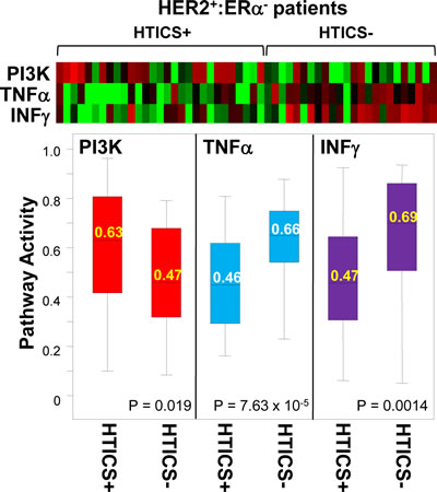 PI3K, TNFalpha and IFNgamma pathway activities are significantly different in HTICS+ versus HTICS- patients.