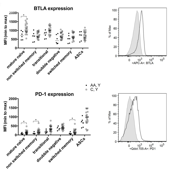 B cell phenotypes.