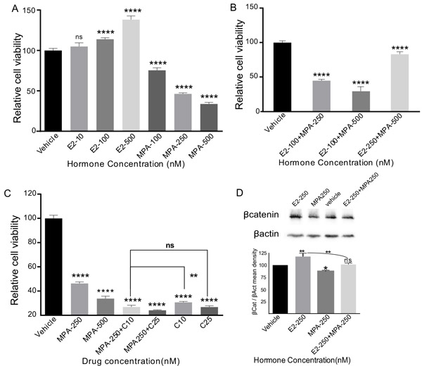 Oestrogen promotes and progesterone suppresses the growth of human serous ovarian cancer cells.