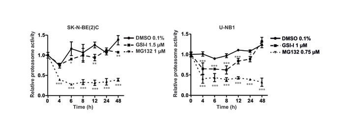 GSI-I inhibits the proteasome in NB cells.