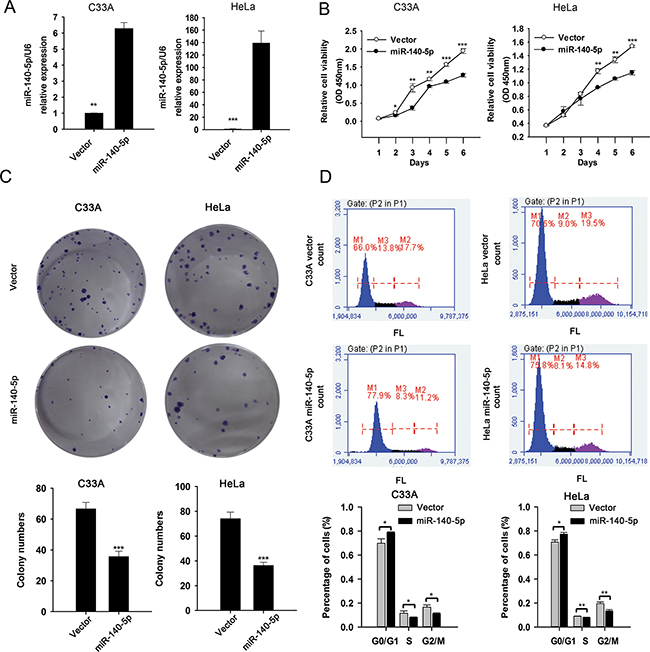 miR-140-5p over-expression suppresses CC cell proliferation in vitro.