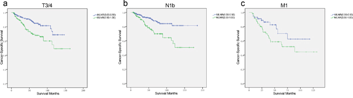 Log-rank tests of cancer-specific survival comparing those who had metastatic lymph node ratio (MLNR) ranged 0.50&ndash;1.00 with those who had MLNR ranged 0.00&ndash;0.49 for a. T3/4: &chi;2 = 10.749, p=0.001; b. N1b: &chi;2 = 13.643, p=0.001; c. M1: &chi;2 = 33.195, p=0.001.