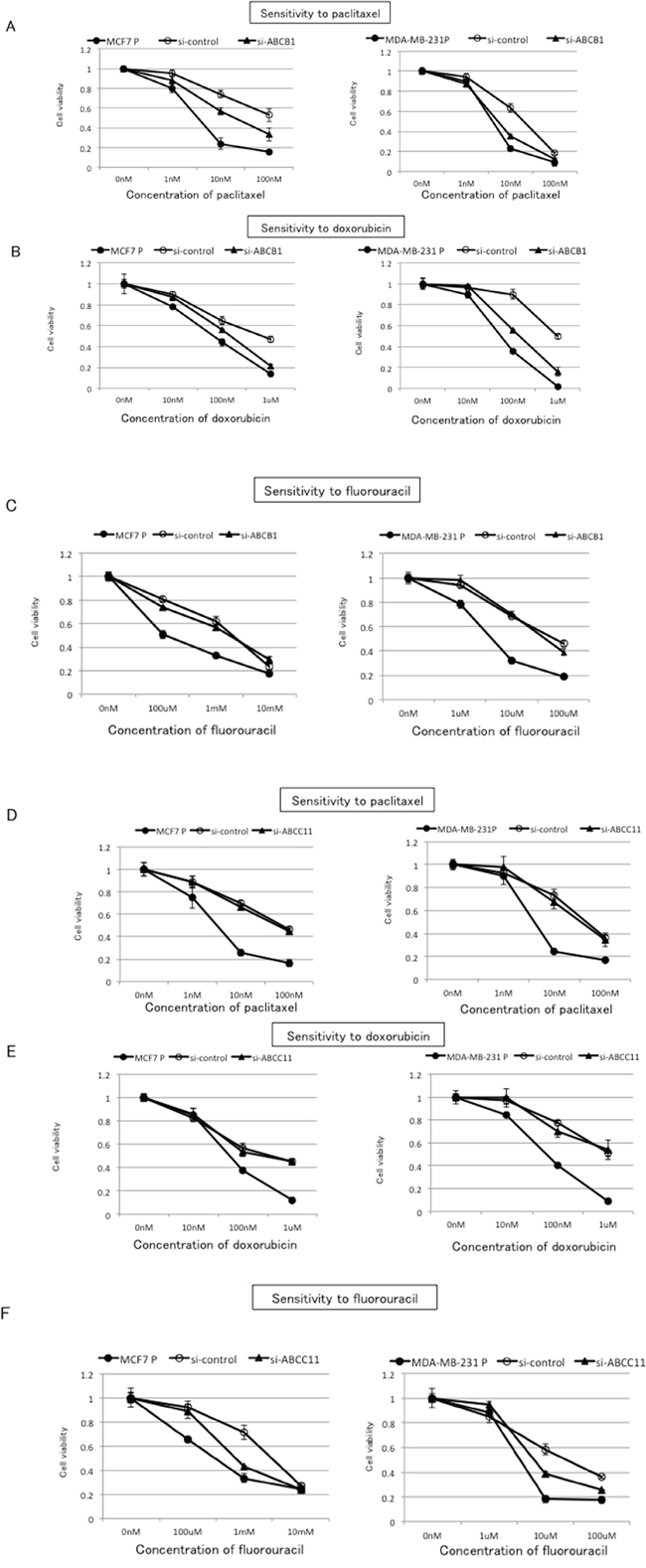 Effects of ABCB1 and ABCC11 knockdown on cross-resistance to paclitaxel, doxorubicin, and fluorouracil in eribulin-resistant breast cancer cells.