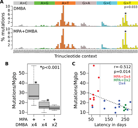 Mutational profiles of chemically induced mouse mammary tumors.