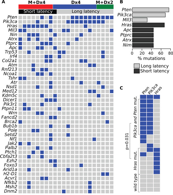 Cancer driver gene mutations in chemically induced mouse mammary tumors.