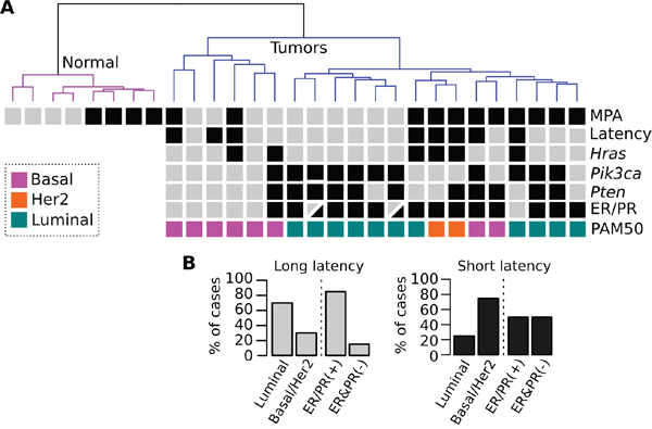 Hierarchical clustering of normal and tumor samples based on RNA-Seq profiles.