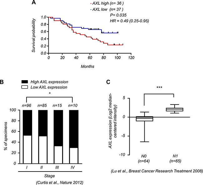 Expression of AXL correlates with malignant progression of breast cancer.