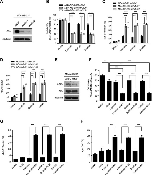 Suppression of AXL enhanced EGFR-TKI cytotoxicity in breast cancer cells.