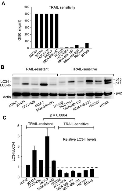 TRAIL resistance correlates with the expression of autophagosome marker LC3-II in breast cancer cell lines.