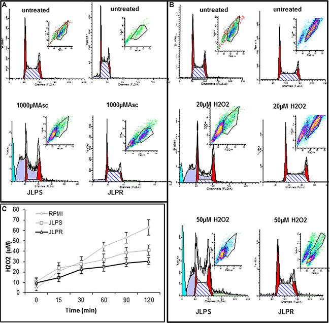 Cellular DNA content in JLPS and JLPR cells following treatment with ascorbate and H2O2.