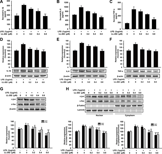 Effects of LL202 on pro-inflammatory cytokines production and AP-1 expression in LPS-induced BMDMs.