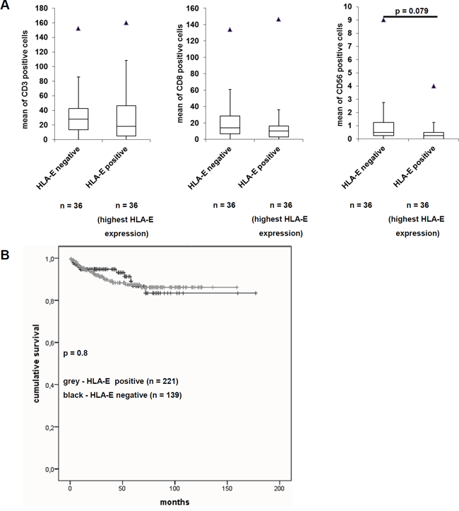 Effects of HLA-E expression on the immunoscore and on the disease specific survival of RCC patients.